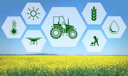 Приглашаем на конференцию "Наука и инновации в сельском хозяйстве" 3 октября 2023
