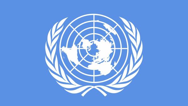 Приглашаем студентов на Международную модель ООН 2024